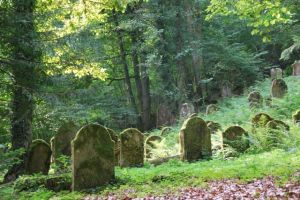 Jewish graves in a forest